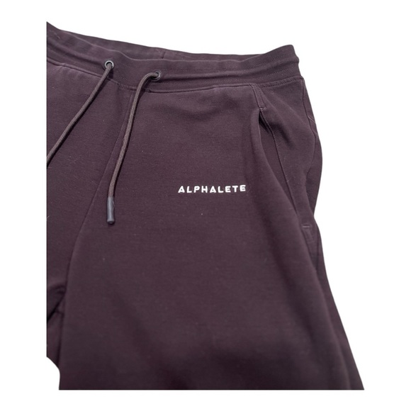 Alphalete Shorts dark plum color Stretch Waistband Drawstring waist mens size M - Picture 6 of 10